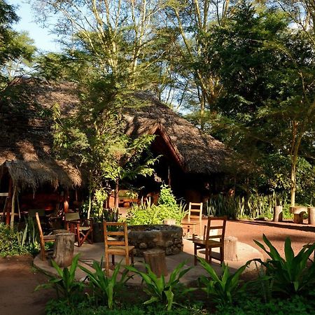 מטו וואמבו Migunga Tented Camp מראה חיצוני תמונה