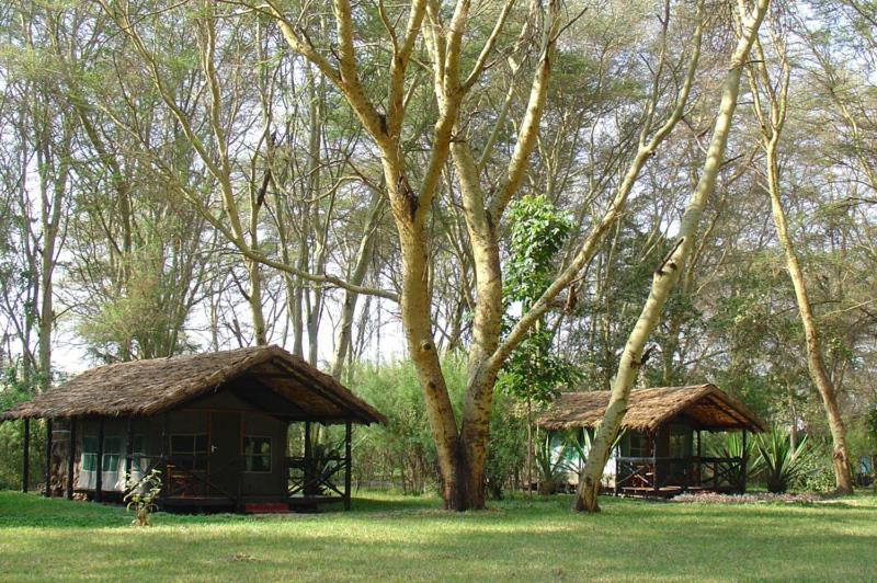 מטו וואמבו Migunga Tented Camp מראה חיצוני תמונה