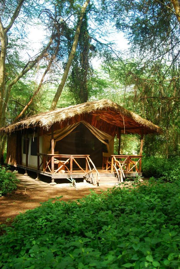 מטו וואמבו Migunga Tented Camp מראה חיצוני תמונה