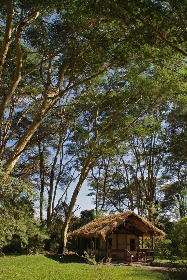 מטו וואמבו Migunga Tented Camp מראה חיצוני תמונה