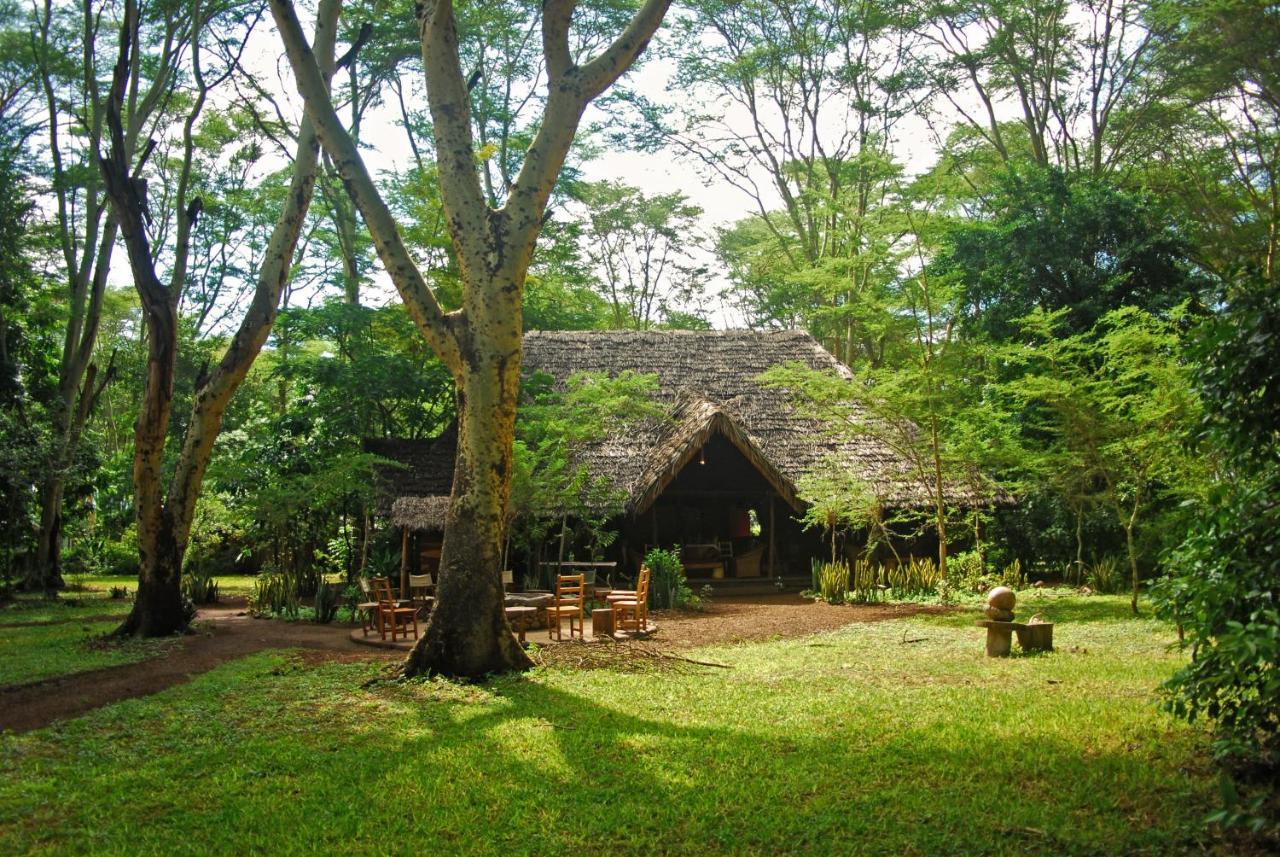 מטו וואמבו Migunga Tented Camp מראה חיצוני תמונה